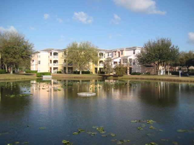 FALLS AT NEW TAMPA